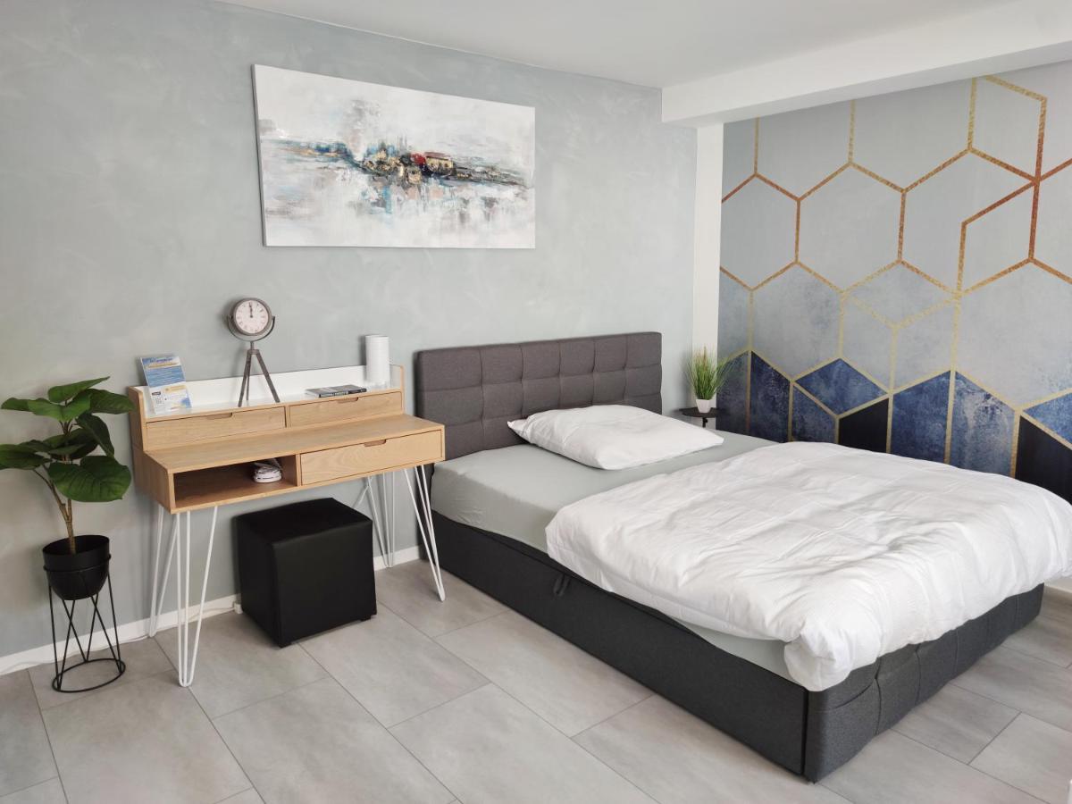 Business Style Apartment Ludwigshafen *Free Parking And Wifi* Kültér fotó