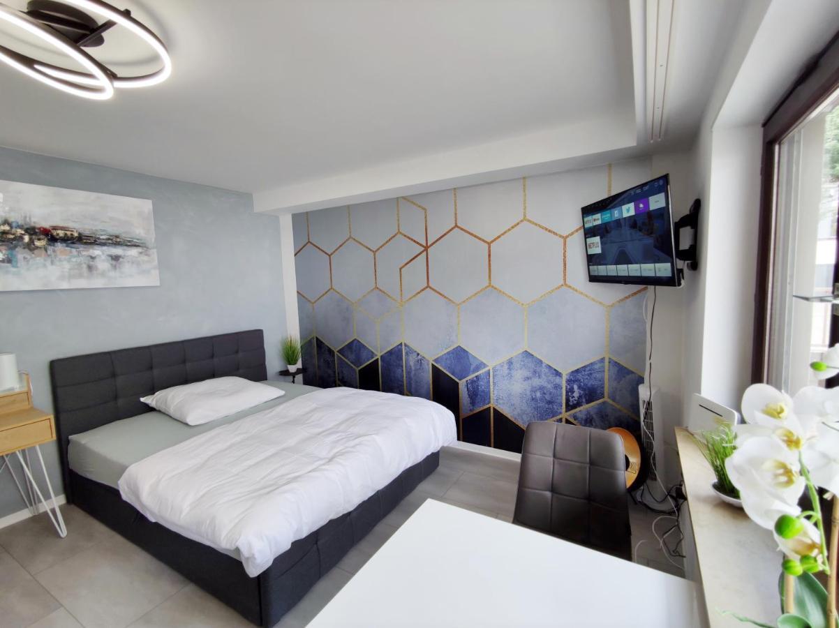 Business Style Apartment Ludwigshafen *Free Parking And Wifi* Kültér fotó