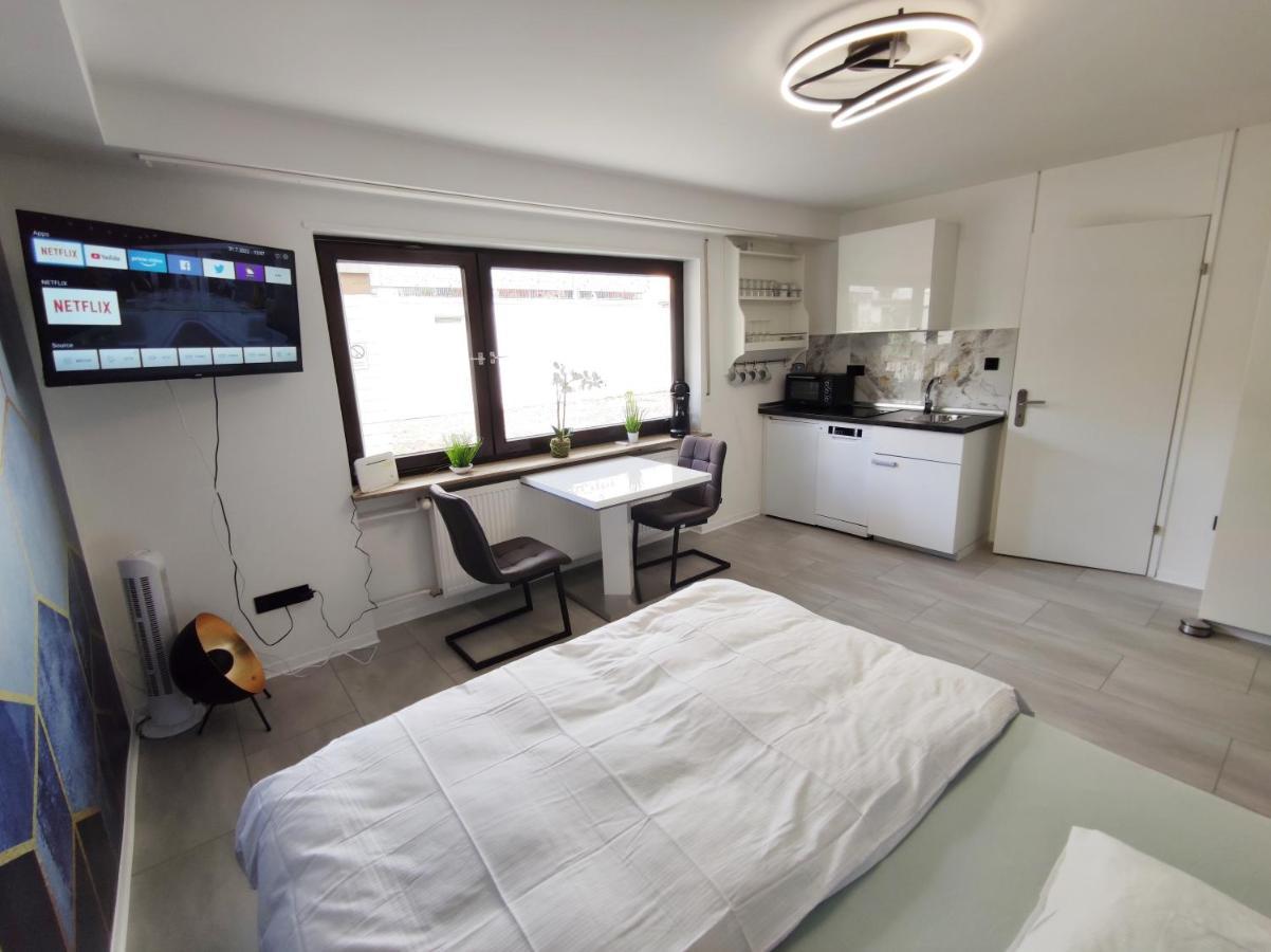 Business Style Apartment Ludwigshafen *Free Parking And Wifi* Kültér fotó