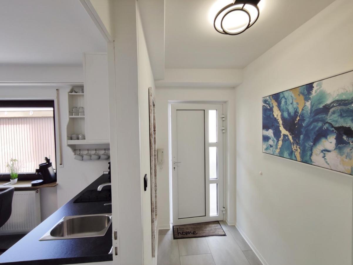 Business Style Apartment Ludwigshafen *Free Parking And Wifi* Kültér fotó
