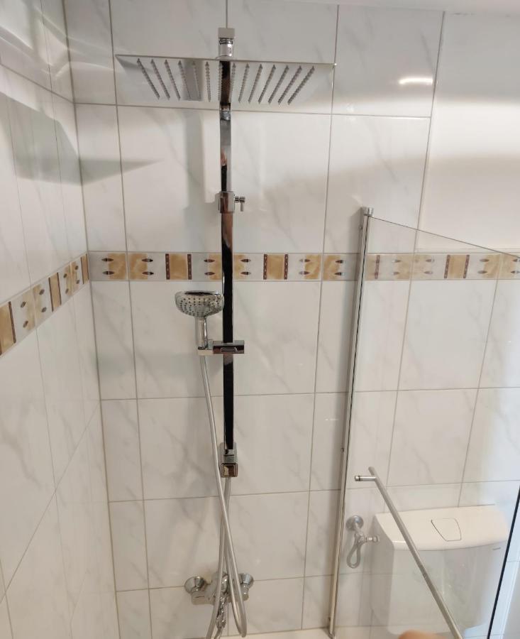 Business Style Apartment Ludwigshafen *Free Parking And Wifi* Kültér fotó