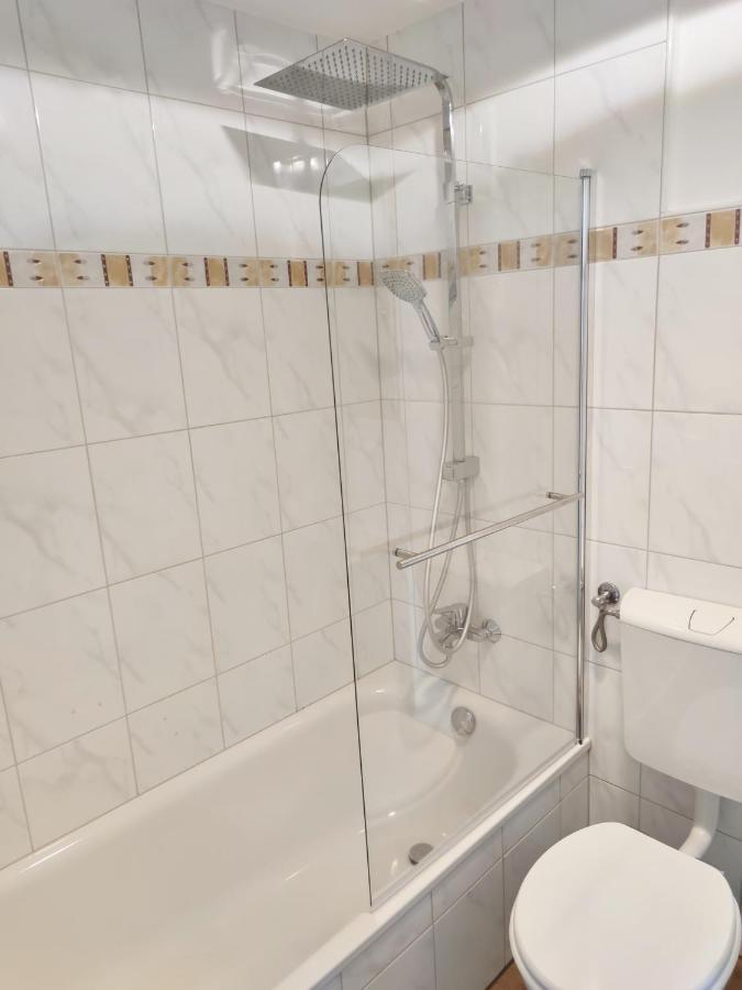 Business Style Apartment Ludwigshafen *Free Parking And Wifi* Kültér fotó