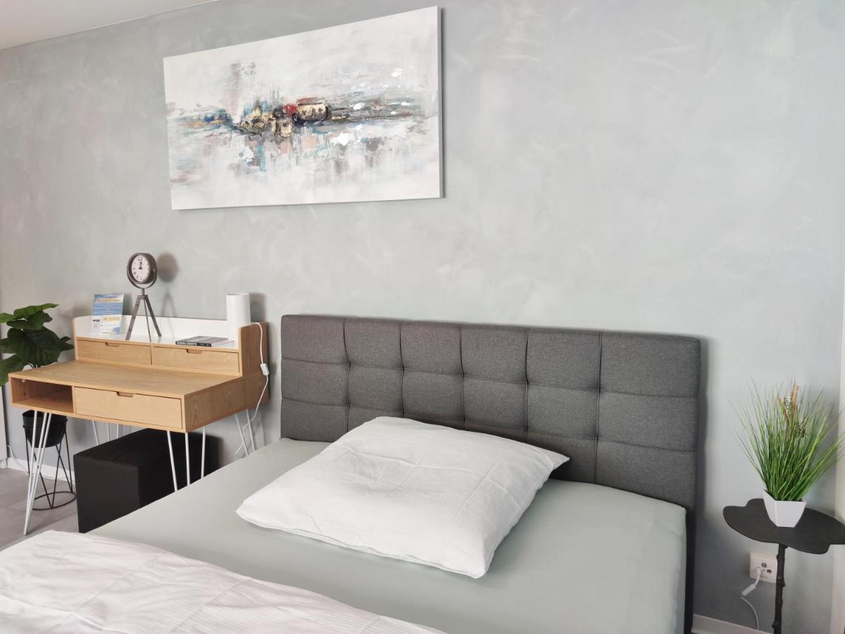 Business Style Apartment Ludwigshafen *Free Parking And Wifi* Kültér fotó